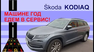 SKODA KODIAQ первый год эксплуатации. Поломки за год. Стоимость ТО