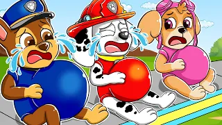 BREWING CUTE BABY FACOTRY!! #2 - Very Funny Life Story - Paw Patrol Ultimate Rescue | Rainbow 3