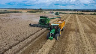 Wheat Harvest 2023- Paud Flynn & Sons