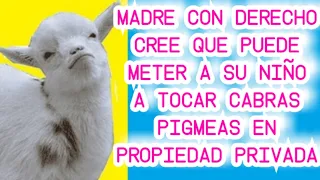 Madre con derecho golpea a embarazada - Historias Reddit /Padres autorizados (Con derecho)