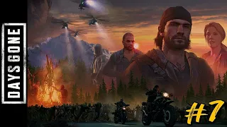 Days Gone. Часть 7: На вас открыли охоту // Гнезда зачистить // Что ты наделал?