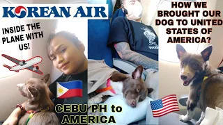HOW TO BRING YOUR DOG TO UNITED STATES OF AMERICA FROM PHILIPPINES VIA KOREAN AIR 2020 ❤️ #PETTRAVEL