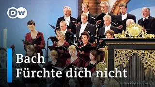 Bach: Motet 'Fürchte dich nicht' | RIAS Kammerchor, Akademie für Alte Musik, Hans-Christoph Rademann