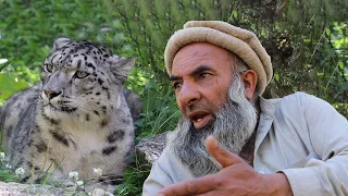 Story of Lost Snow Leopard - Naltar Valley Gilgit Baltistan