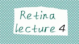 RETINA 4 | Diabetic Retinopathy Part 3/3