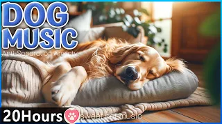 20 hours of Dog Calming Music for Dogs🐶💖Anti Separation Anxiety Relief Music🎵Dog Sleep Music No ads