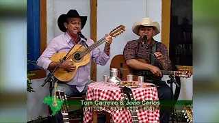 Brasil Caipira : Tom Carreiro e João Carlos