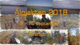 Älgjakten i Tväråträsk 2018 avsnitt 1