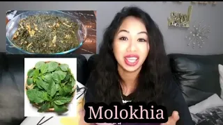 Molokhia Molokiya ملوخية طبخة لوخية  ملوخية دجاج ملوخية فراخ ملوخية مرق