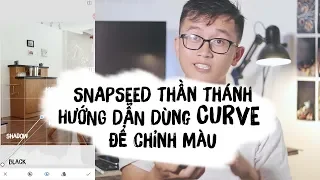 SNAPSEED THẦN THÁNH - CÁCH DÙNG CURVE ĐỂ CHỈNH MÀU. HIỂU BIẾT LÀ SỨC MẠNH