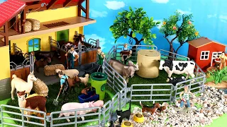 Farm Country Diorama Set and Barn Animal Figurines  - Learn Animal Names