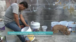 Fabrica bebederos para los perros