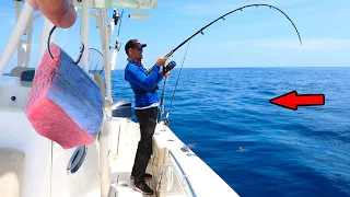 Tossed Cut Bait Over a Shipwreck and Caught This!