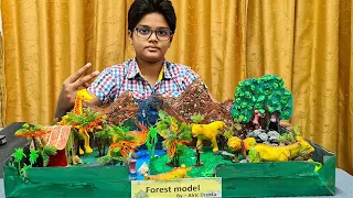 Forest model | Habitat -Forest project with wild animals | Jungle Scene |School Science Exhibition