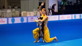 Bollywood Dog Dancing 💛🐾