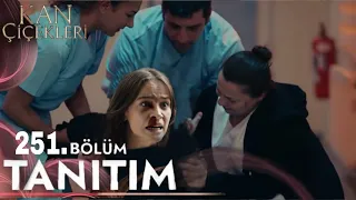 Kan Çiçekleri 252. Bölüm Tanıtımı | Bebek Öldü !