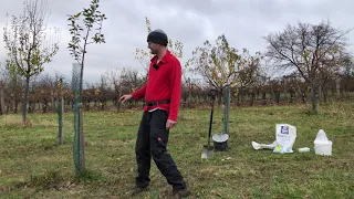 Podzimní hnojení ovocných stromů - Radkův sad