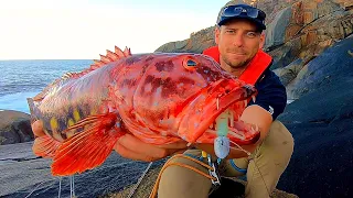 FISHING A CRAZY LEDGE IN ALBANY