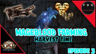 Lets farm a Mageblood Episode 3 - Harvest Time Path of Exile 3.24