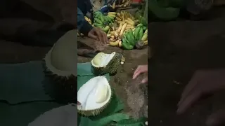 Durian Runtuh