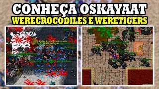 Tibia - Weretigers, Werecrocodiles e Werepanteras, conheça a Nova ilha Oskayaat