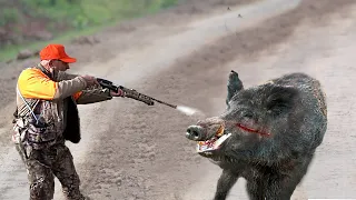 TOP 100 KILLING BLOWS! Best Wild Boar Hunts Compilation -SPECIAL SERIES-3