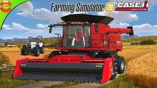 Cultivating Ready To Harvest SunFlowers, Providing Supplies To Cows | CaseIH Farm FS20 #24