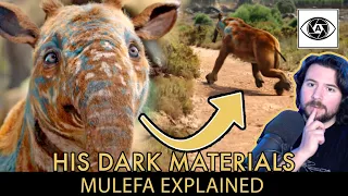 His Dark Materials The Mulefa Explained