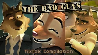 The Bad Guys TikTok Best Compilation #3 🙀🤎