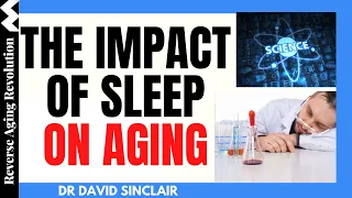 The Impact Of Sleep On Aging | Dr David Sinclair & Dr Rhonda Patrick Interview Clips