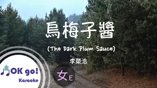 【OK go ! Karaoke】李榮浩 Ronghao Li - 烏梅子醬 (The Dark Plum Sauce) 女調 E ピンイン/lyrics/가사 ktv 伴奏 MIDI伴唱 導唱 歌詞