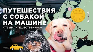 Путешествия с собаками на машине: что для этого нужно? Отзыв путешественницы.