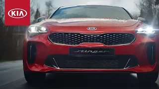 Kia Stinger | Мы хотели вас удивить и сделали это!