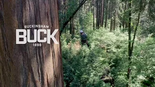 Cornell Tree Climbing Institute Explore Giant Sequoias - Full Video