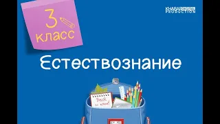 Естествознание. 3 класс. Как появляется тень. Как предметы отражают свет /12.04.2021/