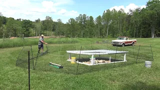 THIS CHANGES EVERYTHING! NEVER CLEAN A CHICKEN COOP AGAIN! BACKYARD MEAT BIRDS!