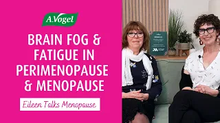 Brain Fog and Fatigue in Perimenopause and Menopause #menopause #perimenopause