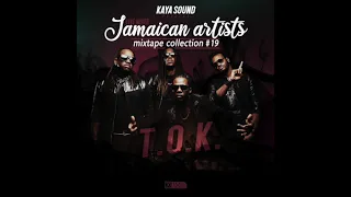T.O.K. - The best of T.O.K. 2021 - Jamaican Artists Mix #19 - Kaya Sound