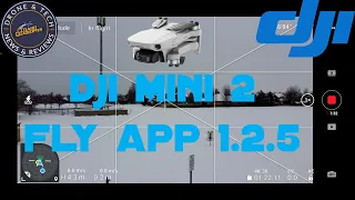 DJI Mini 2 Testing Fly App Update For IOS 1.2.5