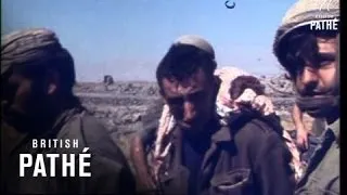 Israelis On Syrian Front (1973)