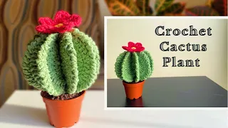 Crochet Cactus | Ball Cactus Tutorial