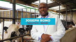 Joyro Dairy Farm in Nairobi