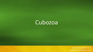 How to pronounce "Cubozoa".