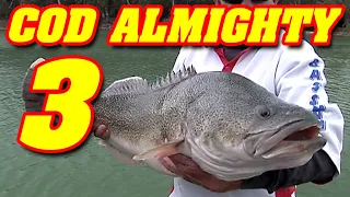 COD ALMIGHTY 3