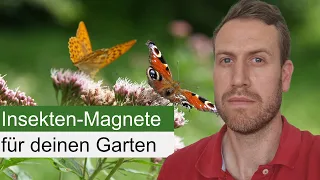 Meine Top 5 Insekten-Pflanzen für den Halbschatten!