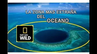 LA ZONA MAS EXTRAÑA DEL OCEANO, DOCUMENTAL EN ESPAÑOL