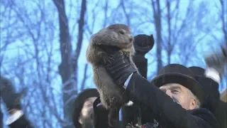 Groundhog Day 2020: Punxsutawney Phil doesn't see his shadow