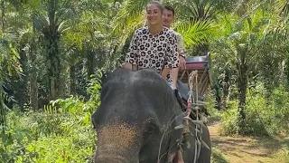 Верхом на слоне. Пхангнга. Тайланд