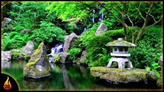 Beautiful Japanese Music | Sakura Dreams | Relaxing Instrumental Asian Music