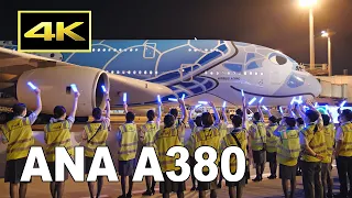 [4K] ANA A380 "FLYING HONU" - 成田～ホノルル線 運航再開（2022年7月1日）